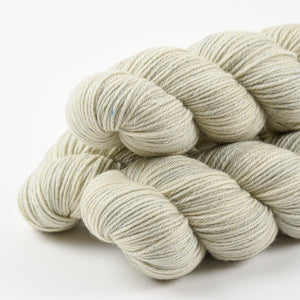 WALK MERINO DK - SUCCULENT