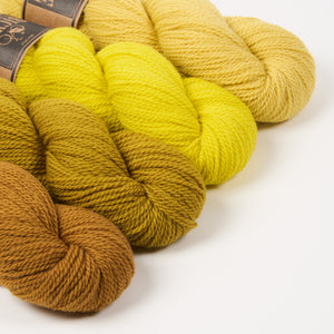 WESTKNITS KIT - DIJON GRADIENT