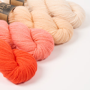 WESTKNITS KIT - FLAMINGO GRADIENT