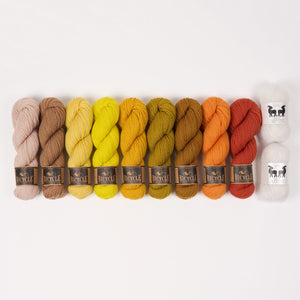 WESTKNITS KIT - SAND AND TANGERINES